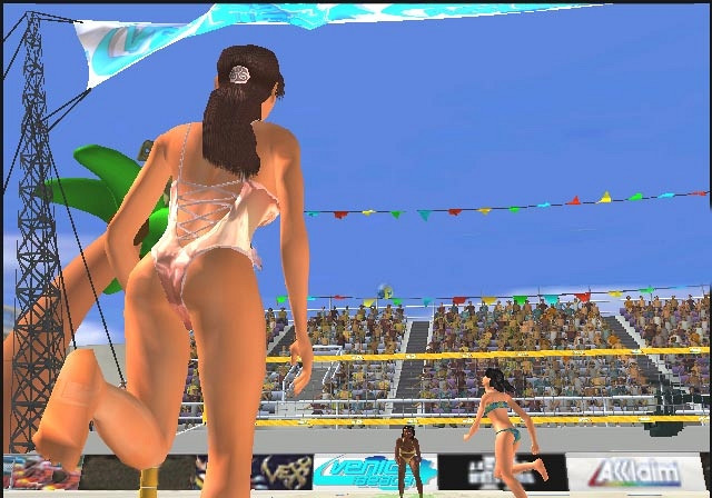 Скриншот из игры Beach Volleyball