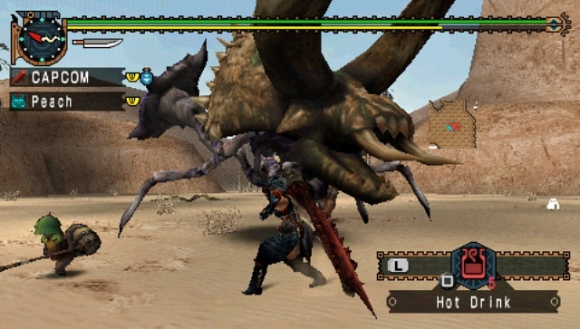 Скриншот из игры Monster Hunter Freedom Unite