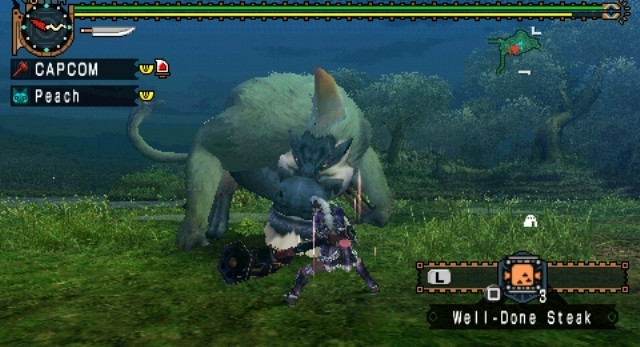 Скриншот из игры Monster Hunter Freedom Unite