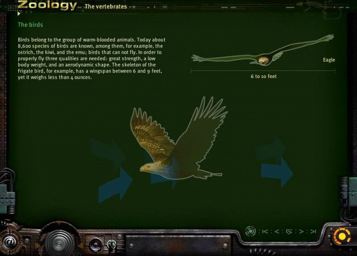 Скриншот из игры Bioscopia
