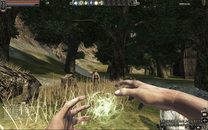 Скриншот из игры Mortal Online