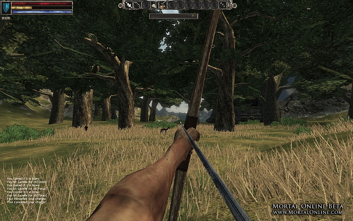 Скриншот из игры Mortal Online