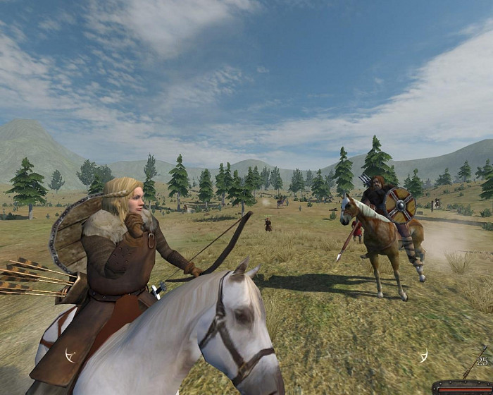 Скриншот из игры Mount & Blade