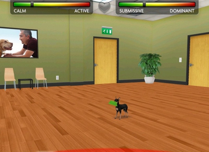 Скриншот из игры My Dog Coach: Understand Your Dog with Cesar Millan