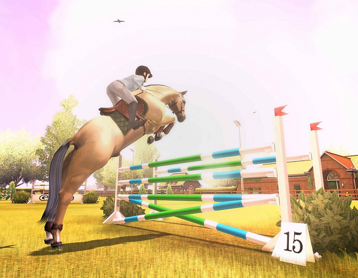 Скриншот из игры My Horse and Me