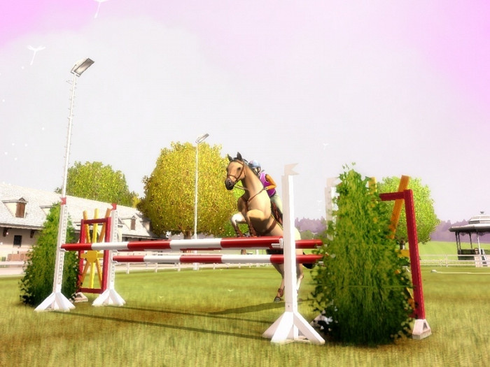 Скриншот из игры My Horse and Me 2