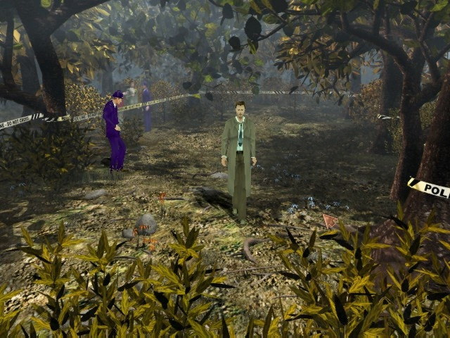 Скриншот из игры Mystery of the Druids