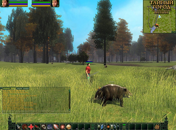 Скриншот из игры Тайный Город онлайн