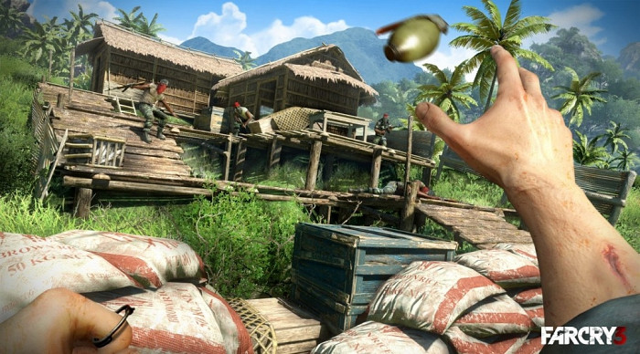 Скриншот из игры Far Cry 3