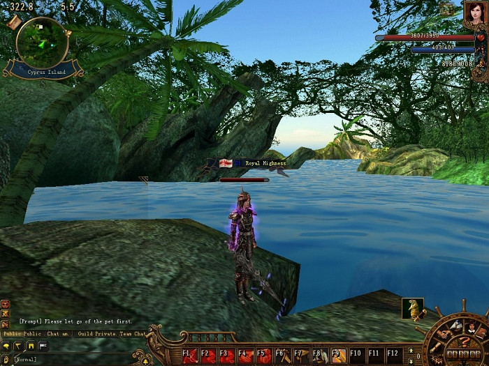 Скриншот из игры Voyage Century Online