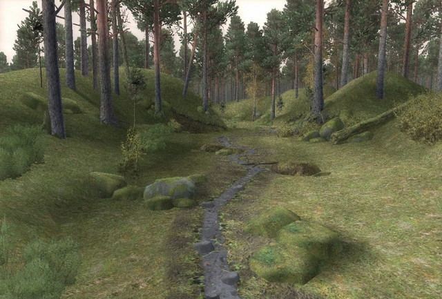 Скриншот из игры Меченосец