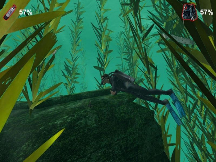 Скриншот из игры Дайвер. Тайны подводного мира