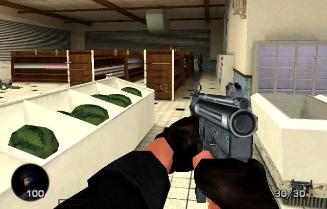 Скриншот из игры FBI: Hostage Rescue