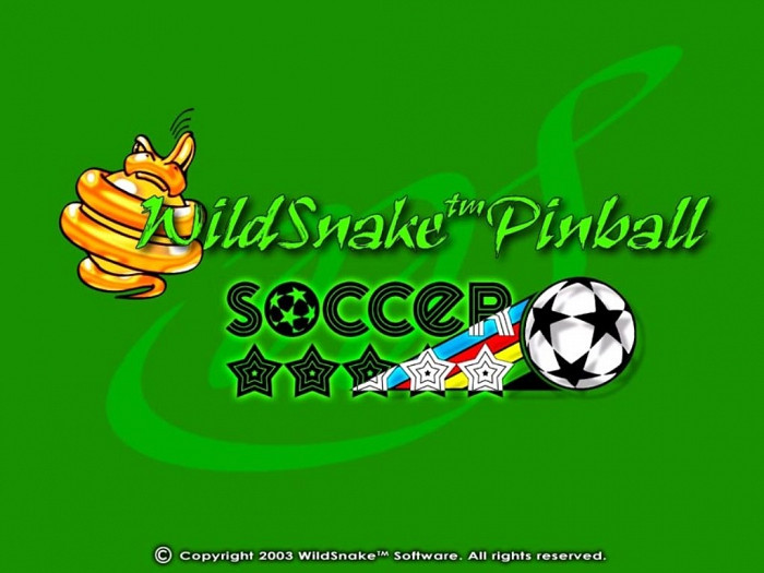 Скриншот из игры WildSnake Pinball: Soccer
