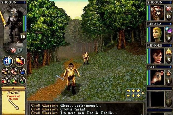 Скриншот из игры Wizards & Warriors: Quest for the Mavin Sword