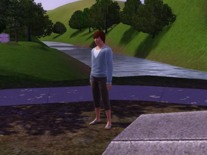 Обложка для игры Sims 3: Outdoor Living Stuff, The