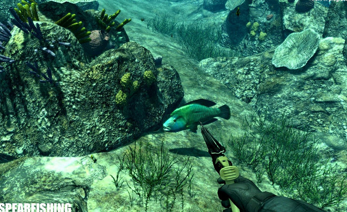 Скриншот из игры Spearfishing