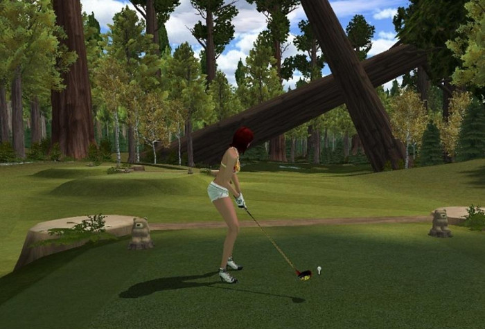 Скриншот из игры Golfstar