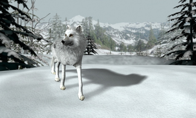Скриншот из игры Nancy Drew: The White Wolf of Icicle Creek