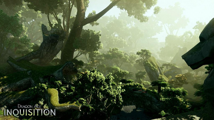 Скриншот из игры Dragon Age: Inquisition