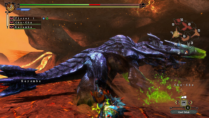 Скриншот из игры Monster Hunter 3G