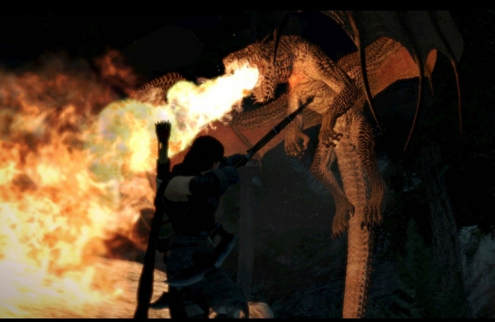 Скриншот из игры Dragon's Dogma