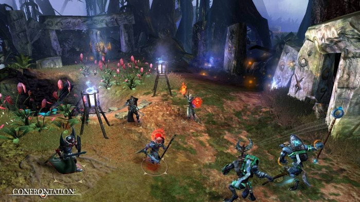 Скриншот из игры Confrontation