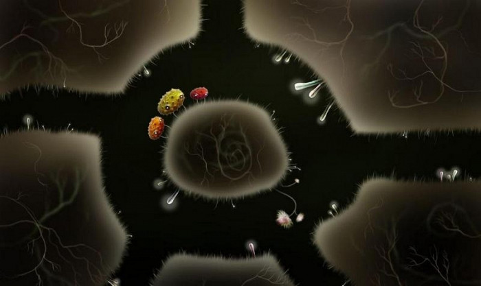Скриншот из игры Botanicula