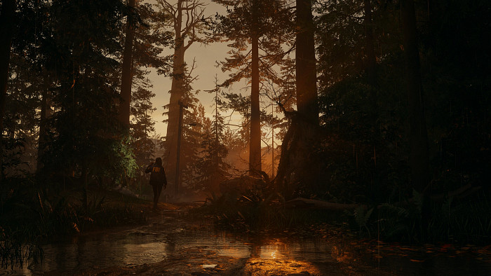 Скриншот из игры Alan Wake 2
