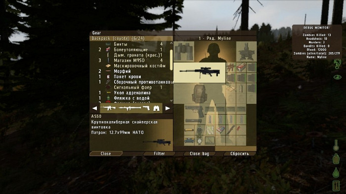 Скриншот из игры DayZ