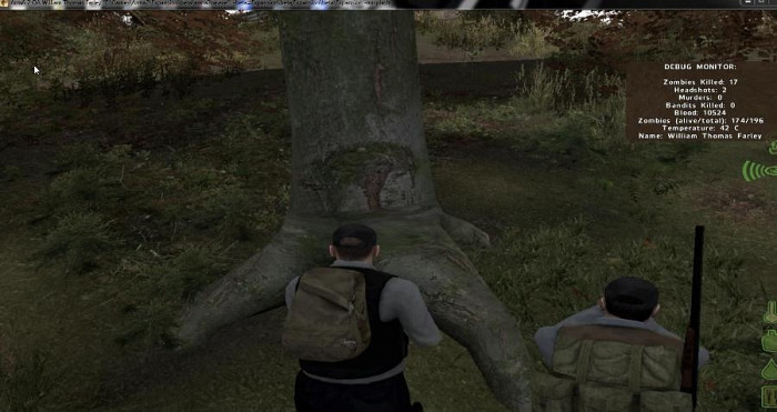 Скриншот из игры DayZ