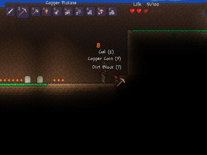 Скриншот из игры Terraria