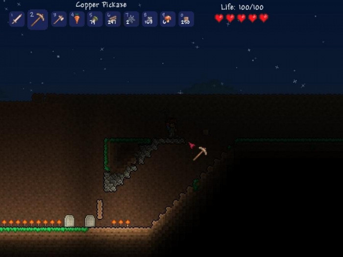 Скриншот из игры Terraria