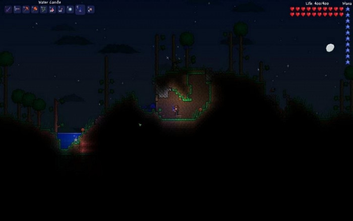 Скриншот из игры Terraria