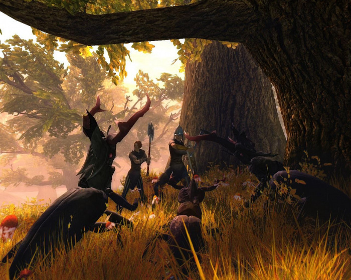 Скриншот из игры Drakensang: The River of Time