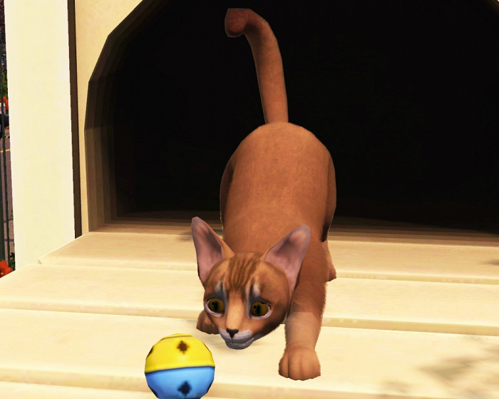 Скриншот из игры Sims 3: Pets, The