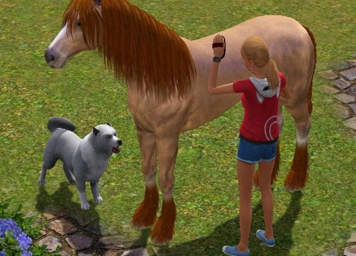 Скриншот из игры Sims 3: Pets, The