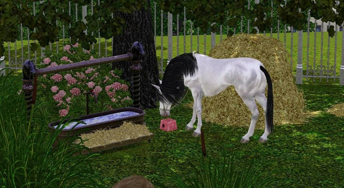 Скриншот из игры Sims 3: Pets, The