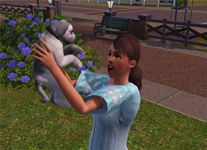 Скриншот из игры Sims 3: Pets, The