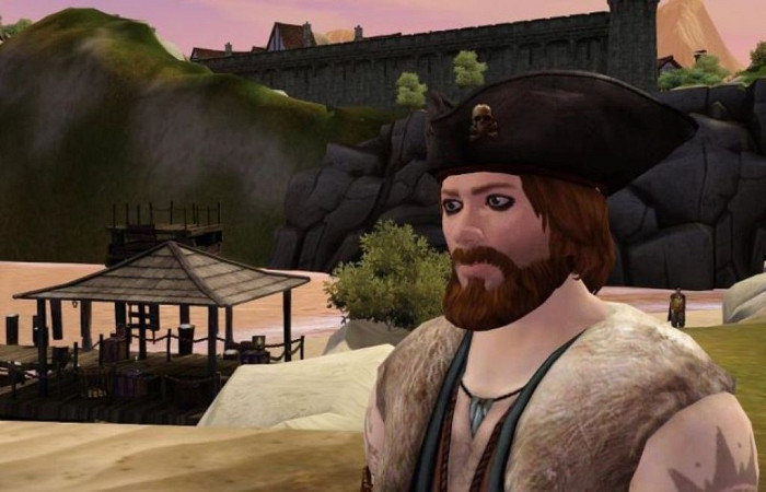 Скриншот из игры Sims Medieval: Pirates and Nobles, The