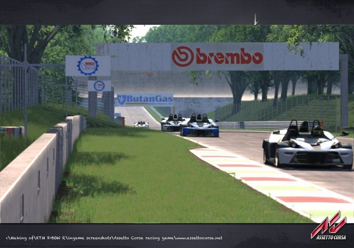 Скриншот из игры Assetto Corsa