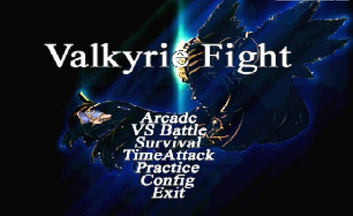 Скриншот из игры Valkyrie Fight