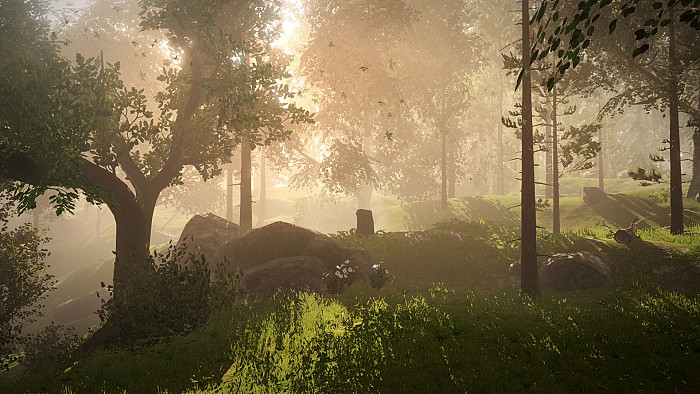 Скриншот из игры War of the Roses