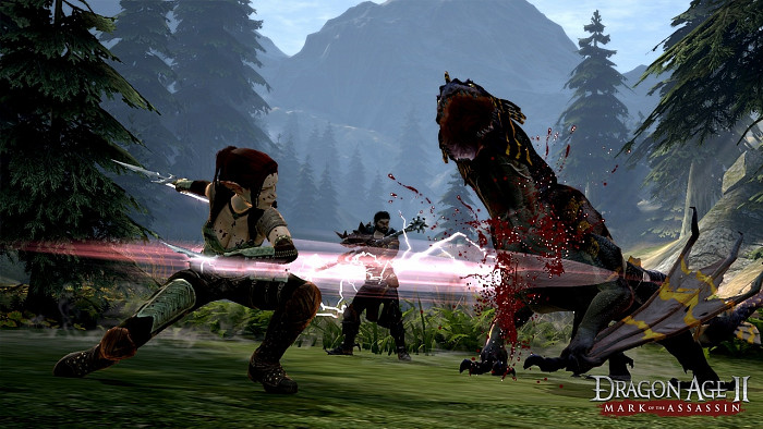 Скриншот из игры Dragon Age 2: Mark of the Assassin