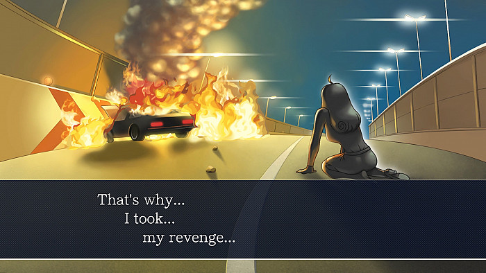 Скриншот из игры Phoenix Wright: Ace Attorney Trilogy HD