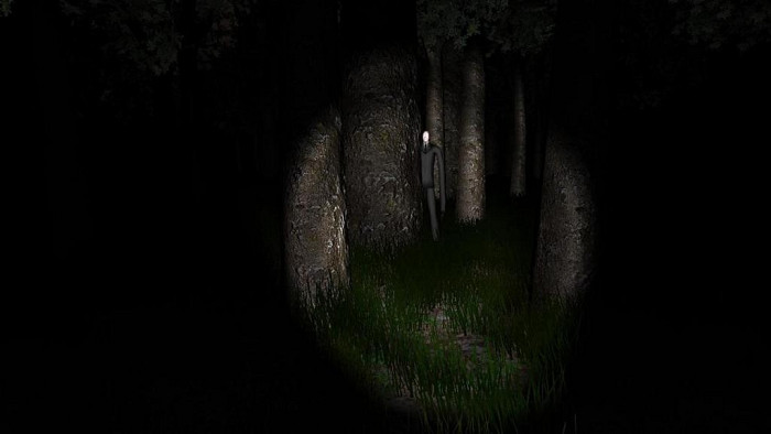 Скриншот из игры Slender: The Arrival