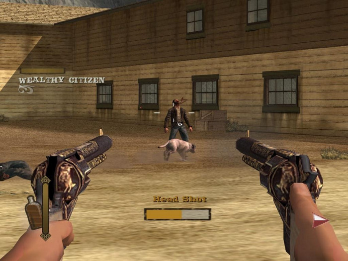 Скриншот из игры Gun