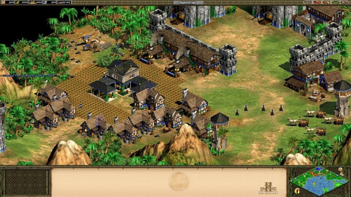 Скриншот из игры Age of Empires 2 HD