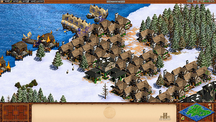 Скриншот из игры Age of Empires 2 HD Edition