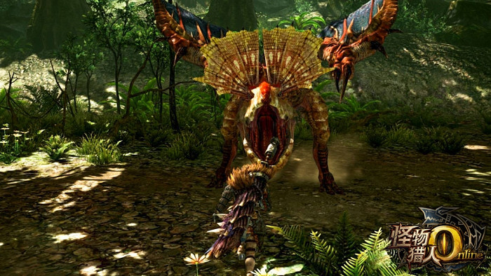 Скриншот из игры Monster Hunter Online